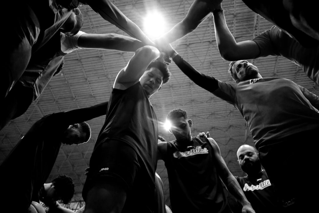 Cocodrilos de Caracas