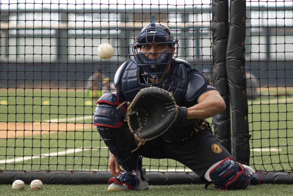 Leones del Caracas LVBP