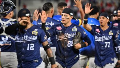 Navegantes del Magallanes