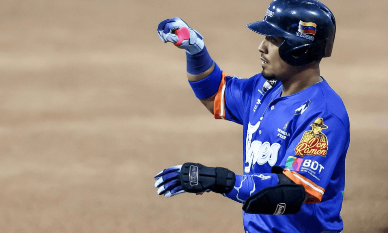 Tigres de Aragua, David Rodríguez