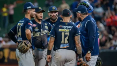 Navegantes del Magallanes