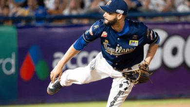 Navegantes del Magallanes